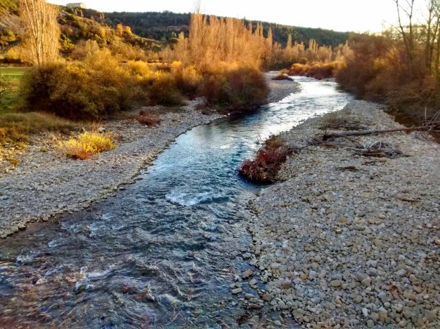 El río veral